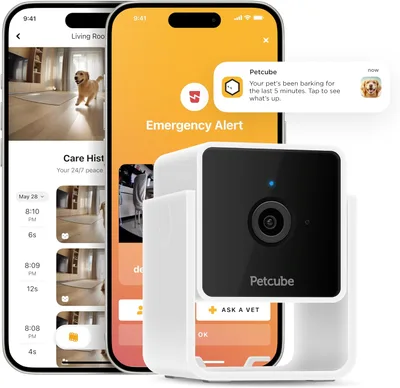 Petcube Cam, cámara de interior con WiFi