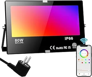 Foco LED RGB Exterior 80W, Bluetooth y App, Temporizador, IP66