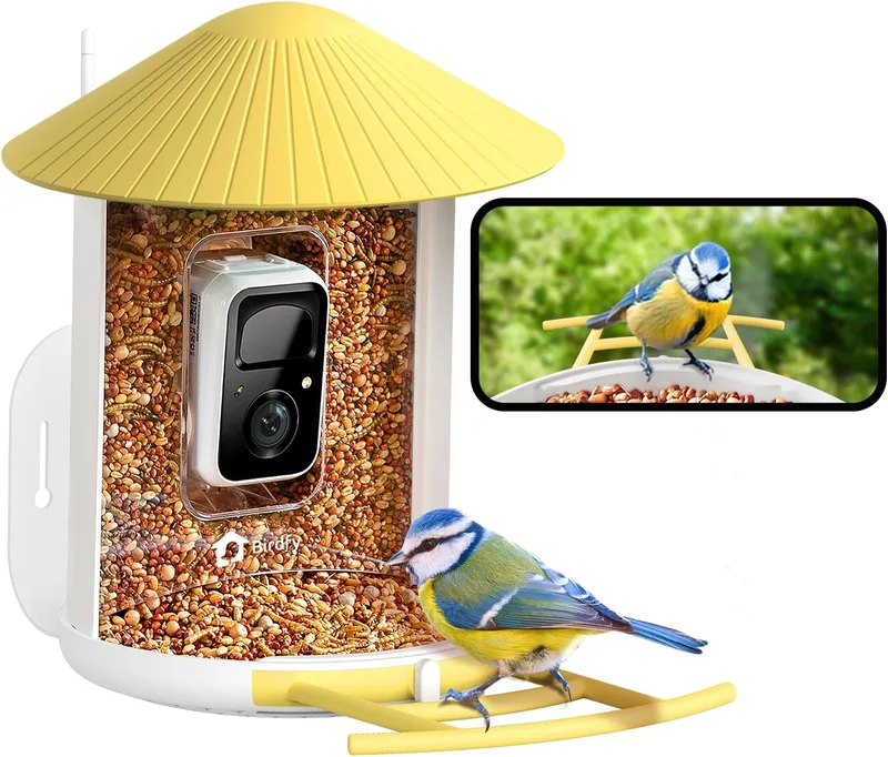 Netvue Birdfy – Comedero con cámara para pájaros