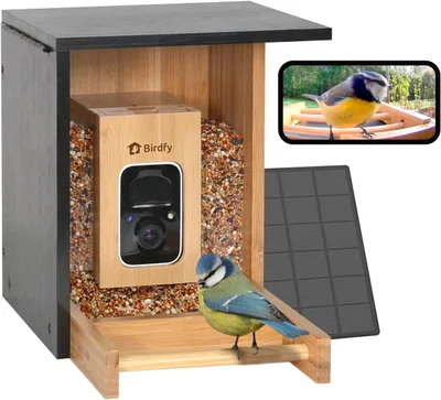 Netvue by Birdfy Bamboo – Comedero con cámara de bambú