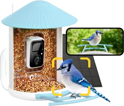 Netvue by Birdfy Solar – Comedero con cámara, batería y panel solar