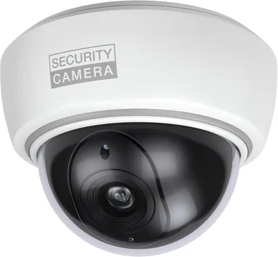 BASI Cámara de Seguridad Falsa Domo con LED Intermitente