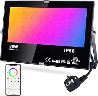 DUSKTEC Foco LED Exterior RGB 80W con Enchufe, Regulable, IP66